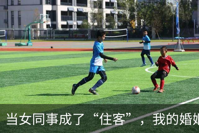 当女同事成了“住客”，我的婚姻差点被拎走